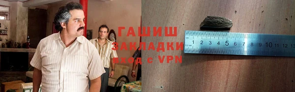 хмурый Арсеньев