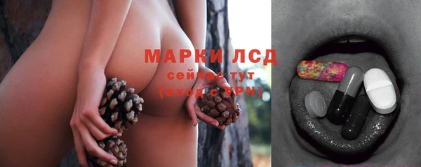 прущий лед Аркадак