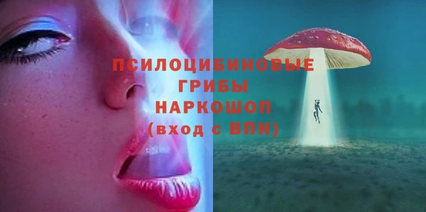 винт Переславль-Залесский
