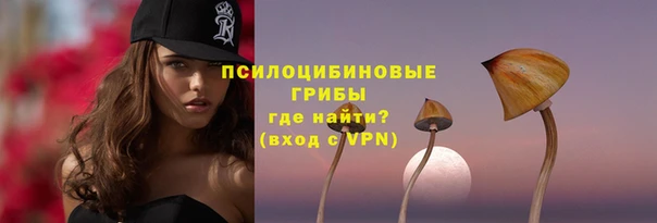 хмурый Арсеньев