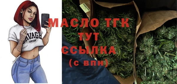 индика Медвежьегорск