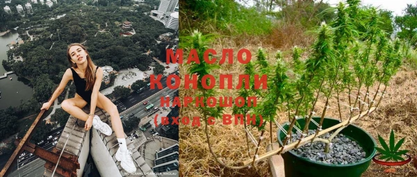хмурый Арсеньев