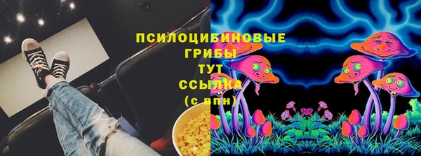 хмурый Арсеньев