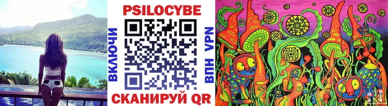 купить наркотик  Пучеж  Галлюциногенные грибы Magic Shrooms 