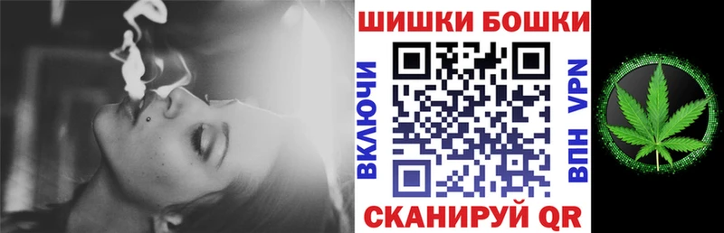 Бошки Шишки планчик Пучеж